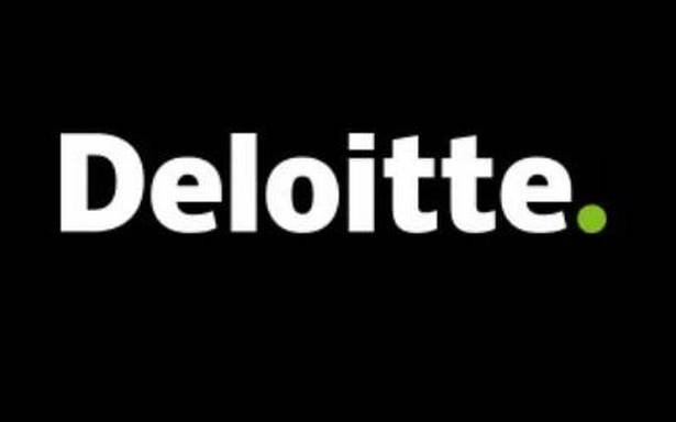 Government has adopted a strategy to push public investment for economic growth: Deloitte India